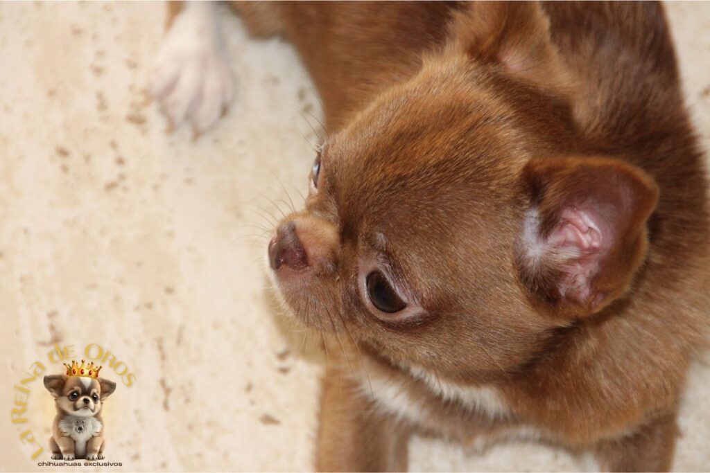 Categorías del Blog 3 categorias-del-blog