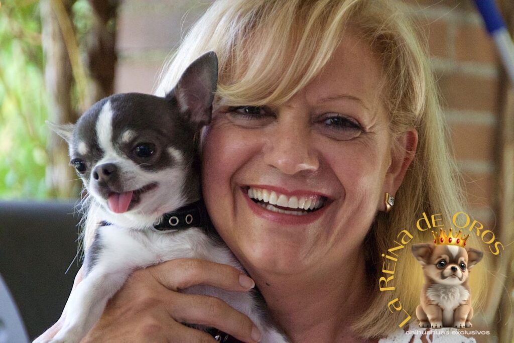 chihuahua-yacky-opiniones-clientes