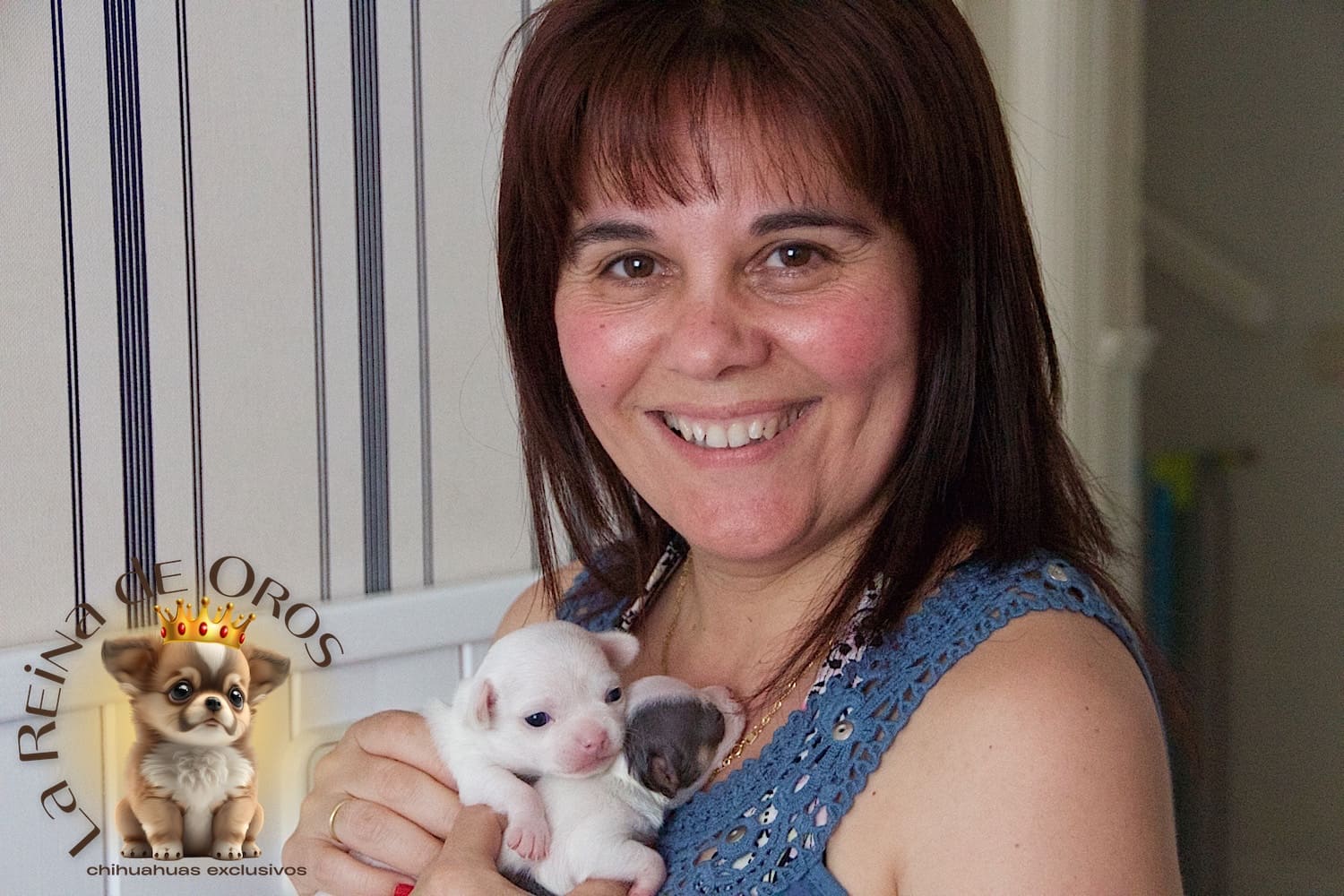 Cliente con cachorro