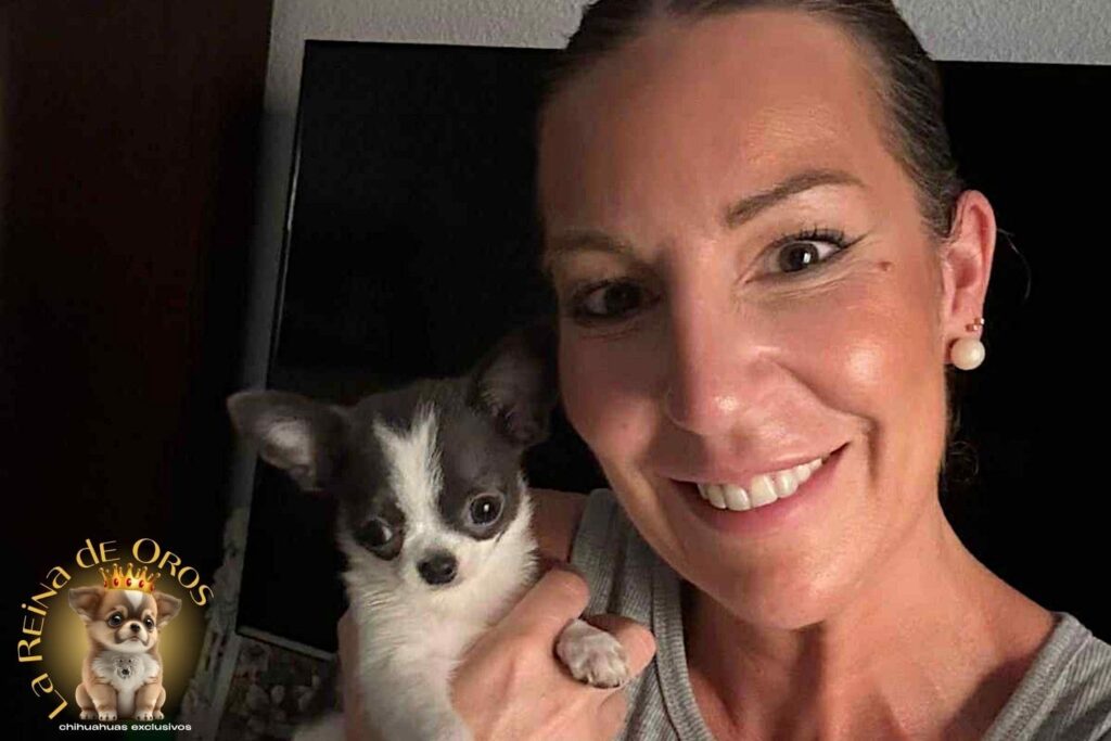 Primeros Días de Tu Chihuahua en Casa | Adaptación Feliz 8 primeros-dias-de-tu-chihuahua-en-casa-expertos-en-raza-chihuahua