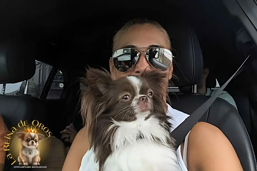 Cliente con cachorro