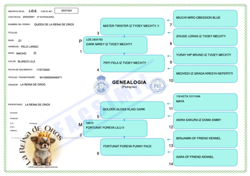 LOE-PEDIGREE-QUEEN-DE-LA-REINA-DE-OROS
