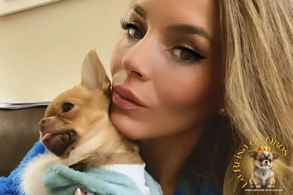 Cliente con cachorro
