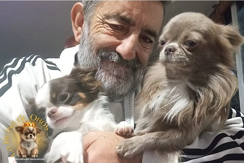 Cliente con cachorro