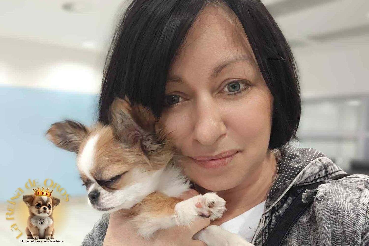 Opiniones de Nuestros Clientes 11 opiniones-de-nuestros-clientes-la-reina-de-oros-criadero-chihuahuas