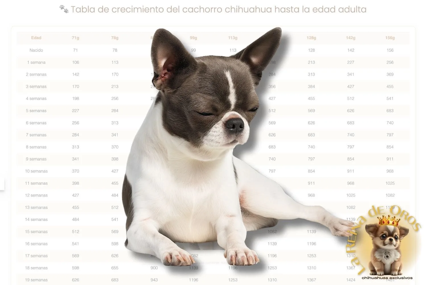Tabla de Peso del Chihuahua