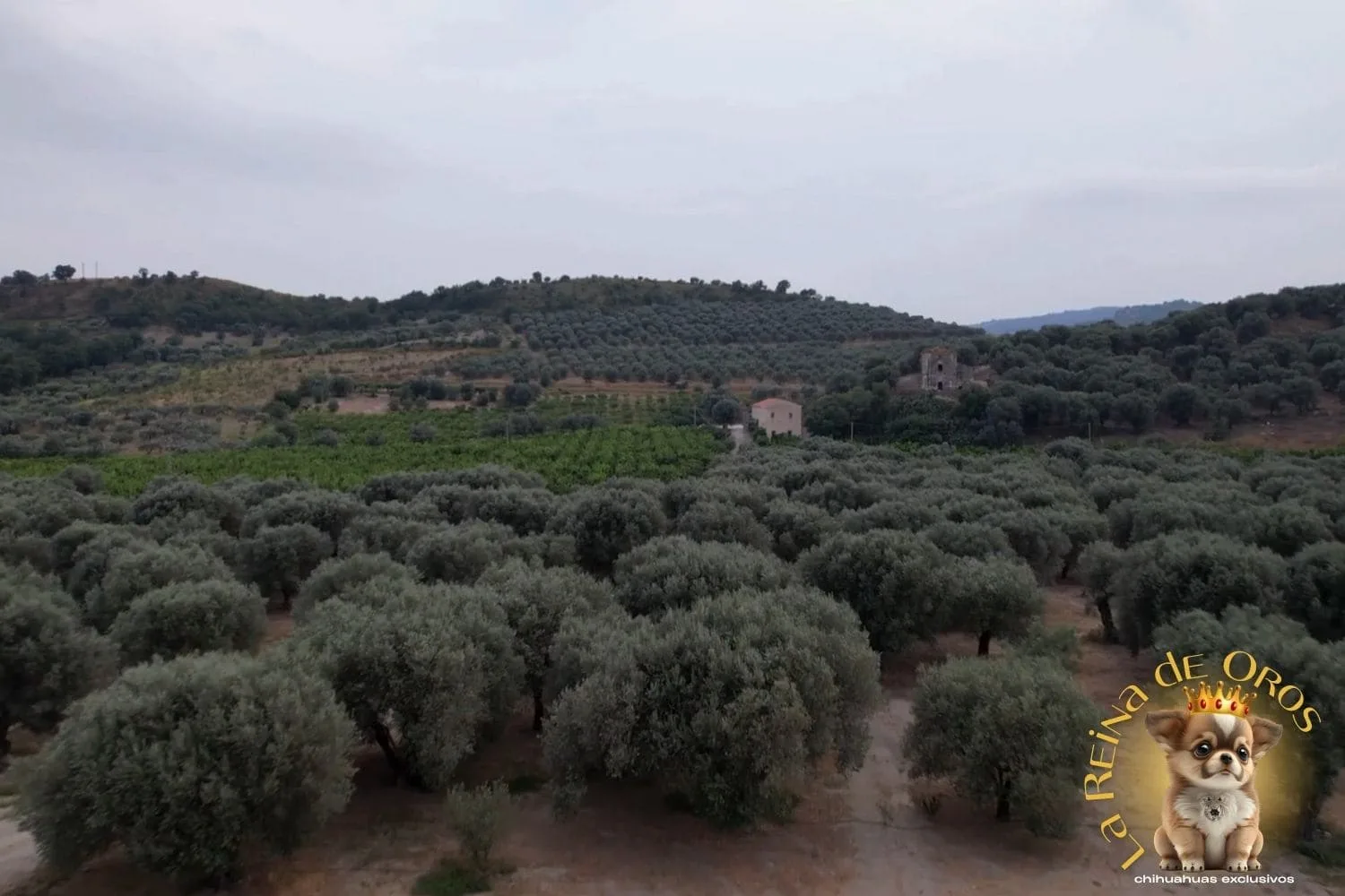 Nuestro Video Corporativo