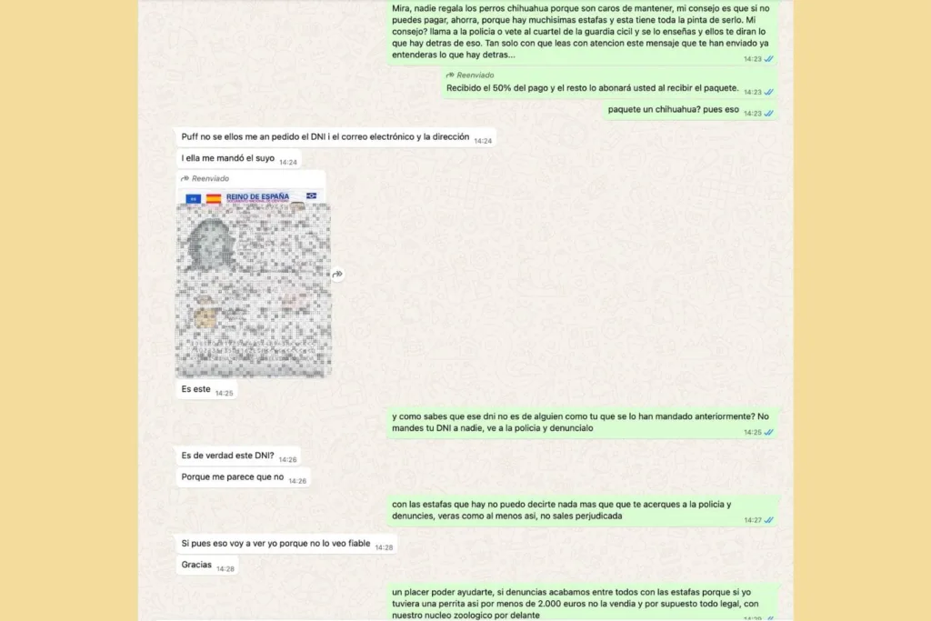 estafas-comprar-chihuahua