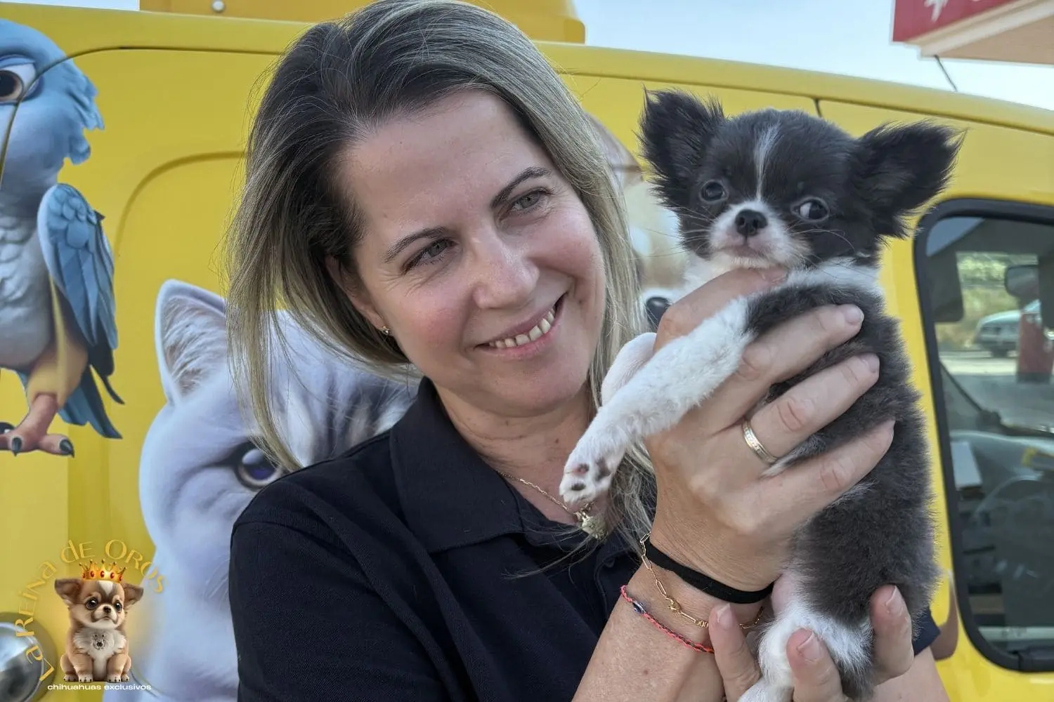 Equipo de ViajaDeLujo entregando un cachorro chihuahua de La Reina de Oros a su nueva familia