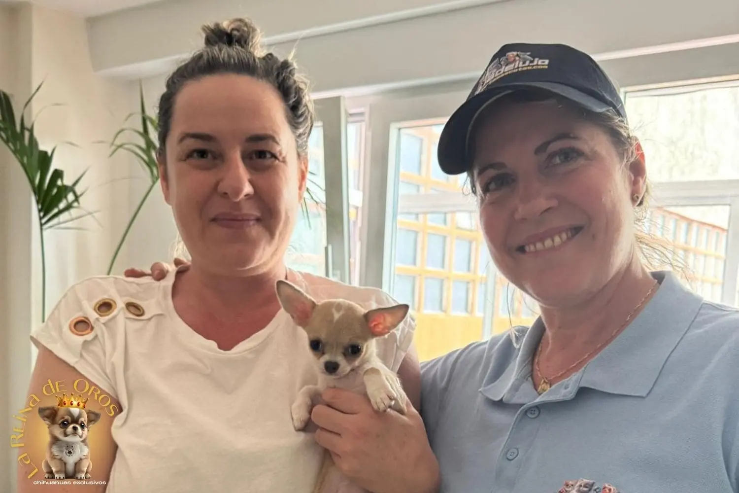 Familia con su cachorro chihuahua de La Reina de Oros recién llegado a casa tras el transporte