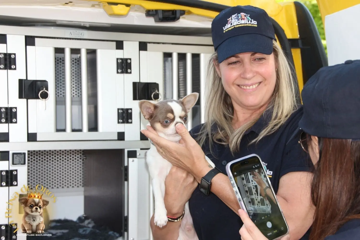 Vehículo de ViajaDeLujo para el transporte terrestre de cachorros puerta a puerta